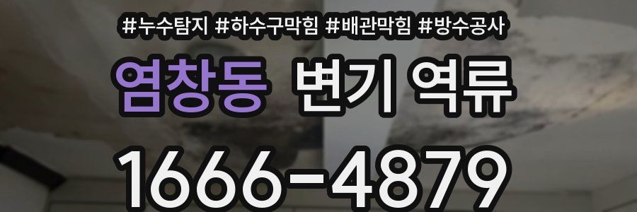 염창동 변기 역류