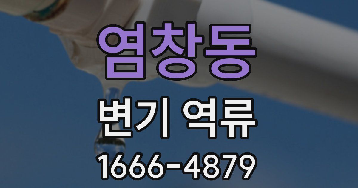 염창동 변기 역류