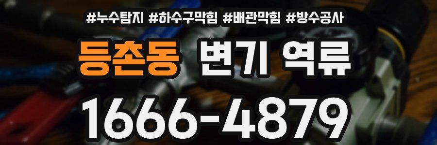 등촌동 변기 역류