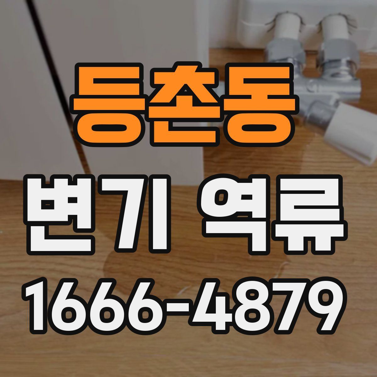 등촌동 변기 역류