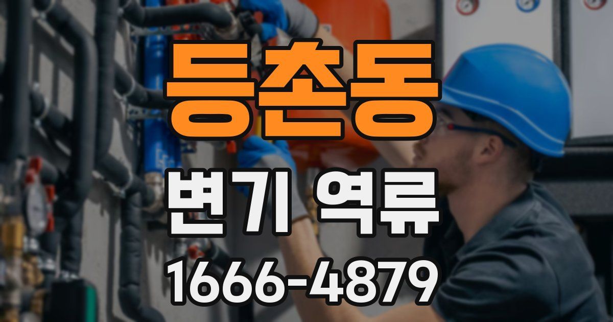 등촌동 변기 역류