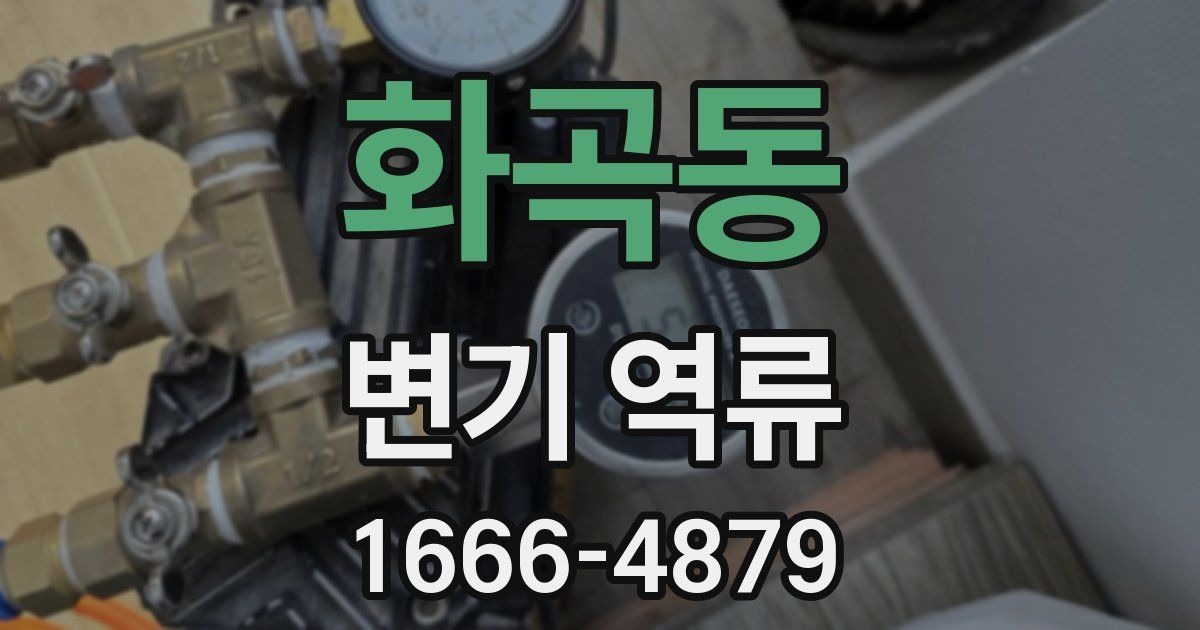 화곡동 변기 역류