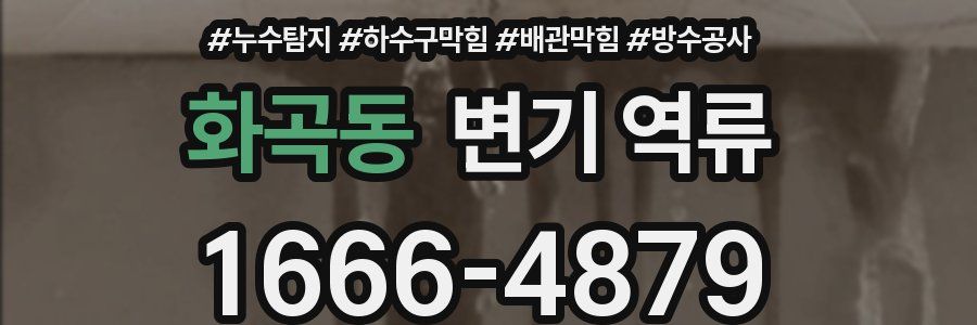 화곡동 변기 역류