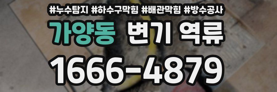 가양동 변기 역류