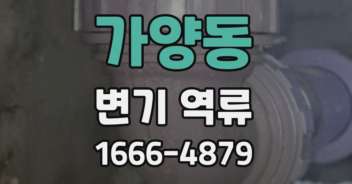 가양동 변기 역류