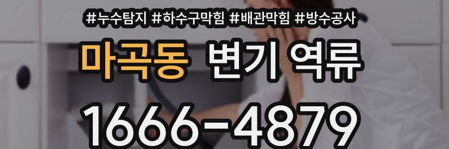 마곡동 변기 역류
