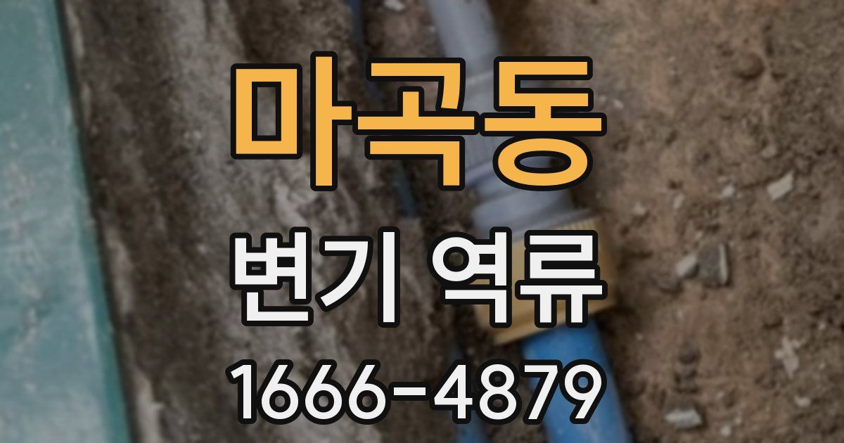 마곡동 변기 역류
