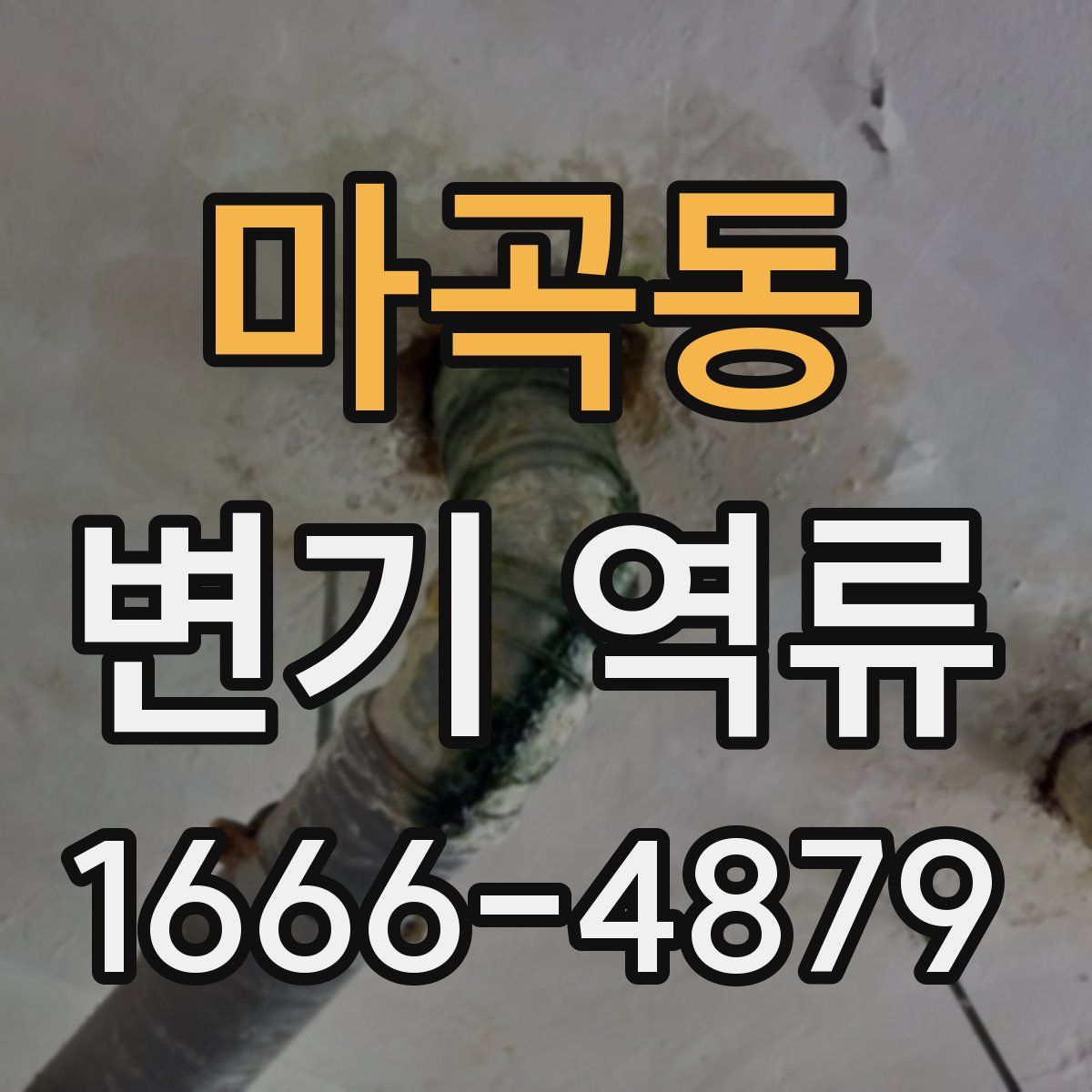 마곡동 변기 역류