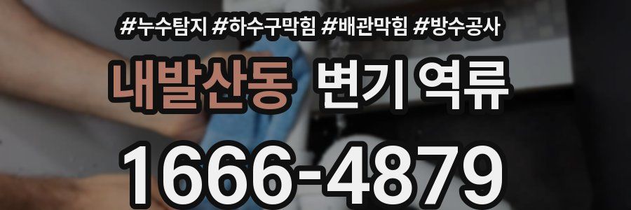 내발산동 변기 역류