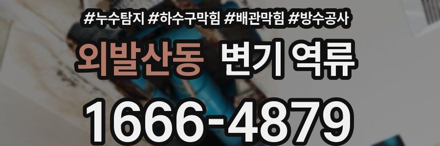 외발산동 변기 역류