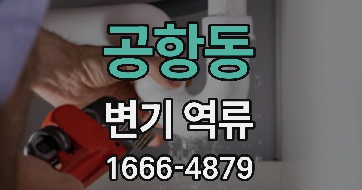 공항동 변기 역류
