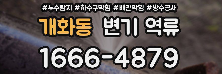 개화동 변기 역류