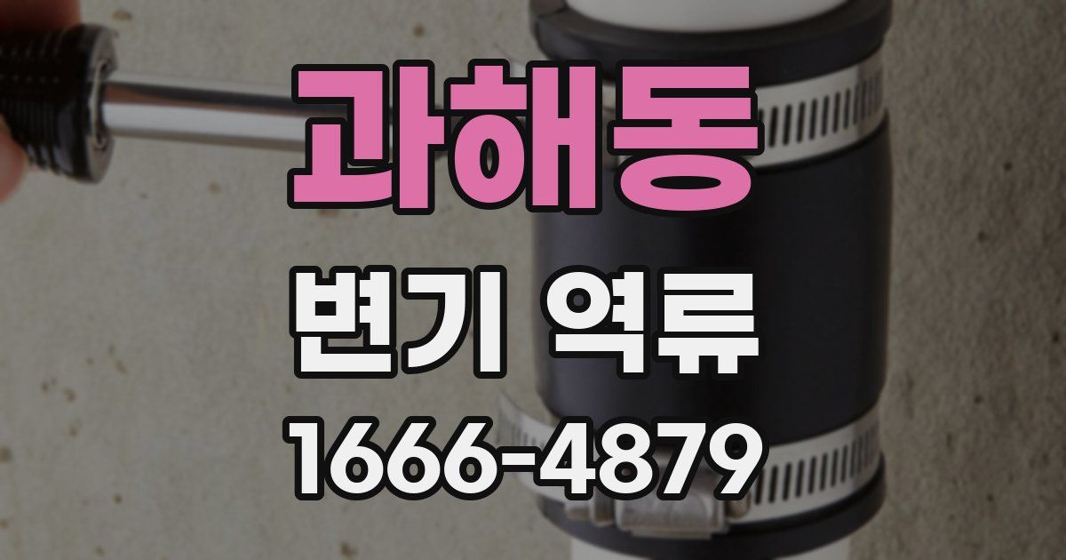 과해동 변기 역류