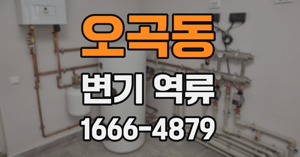 오곡동 변기 역류