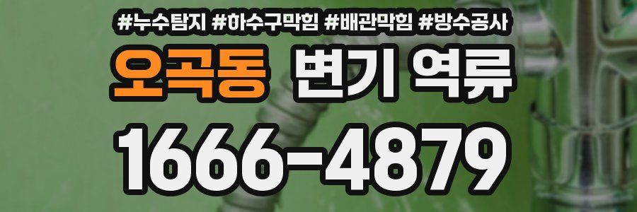 오곡동 변기 역류