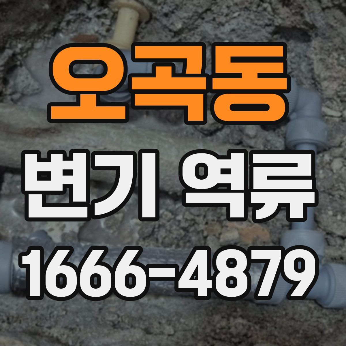 오곡동 변기 역류