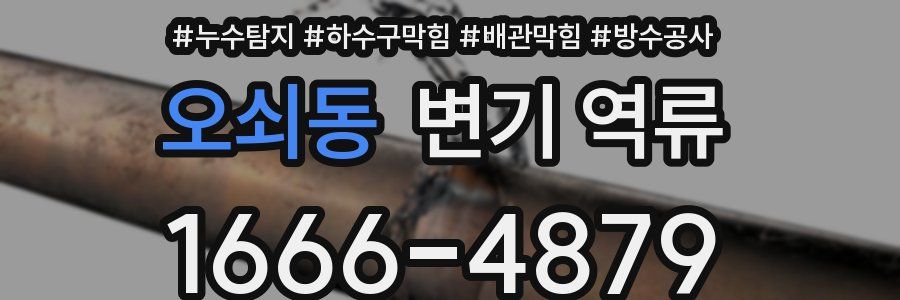 오쇠동 변기 역류