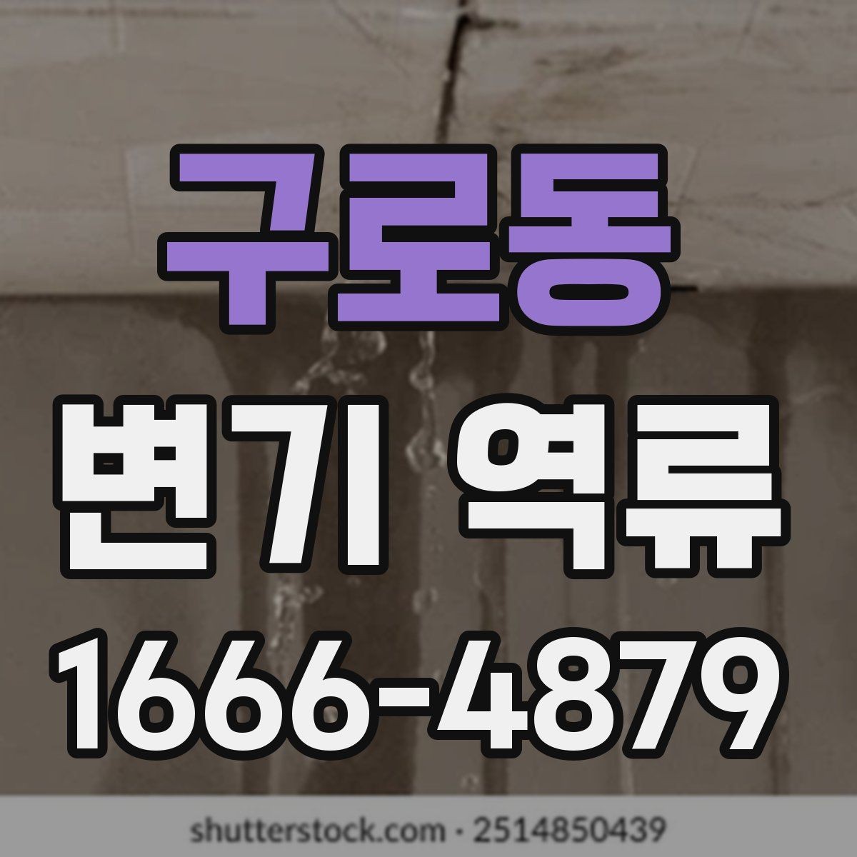 구로동 변기 역류 점검 시 트랩 상태를 확인해야 하는 이유
