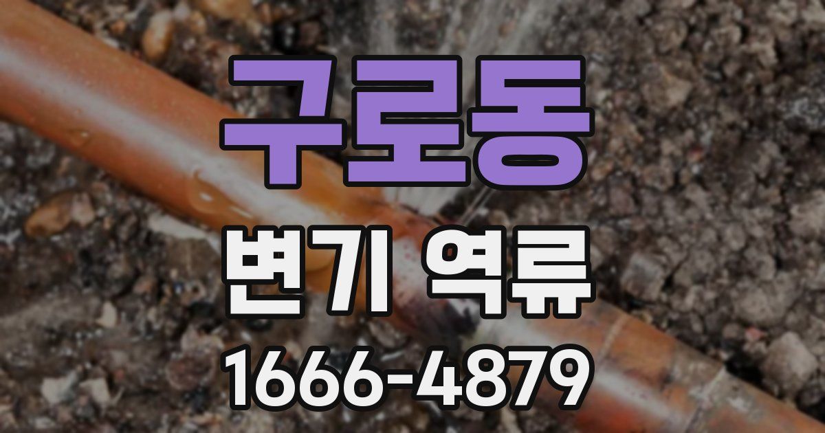 구로동 변기 역류