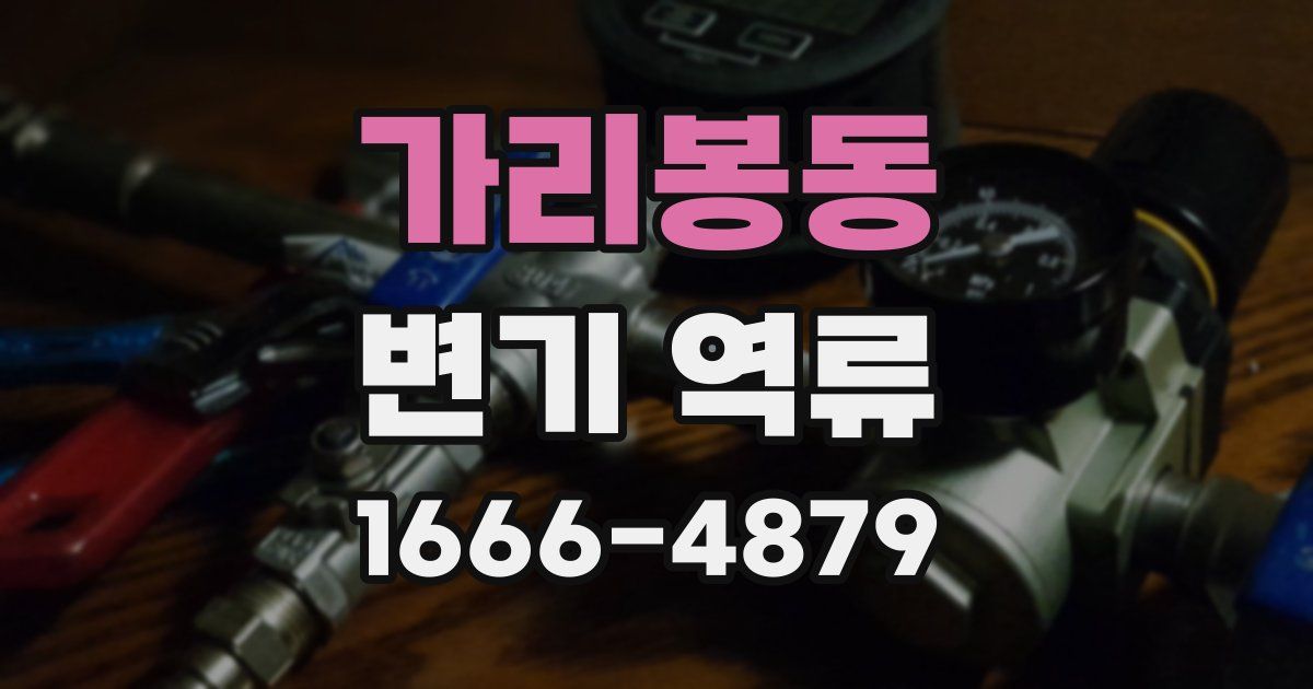가리봉동 변기 역류