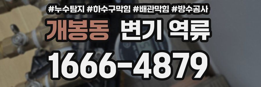 개봉동 변기 역류
