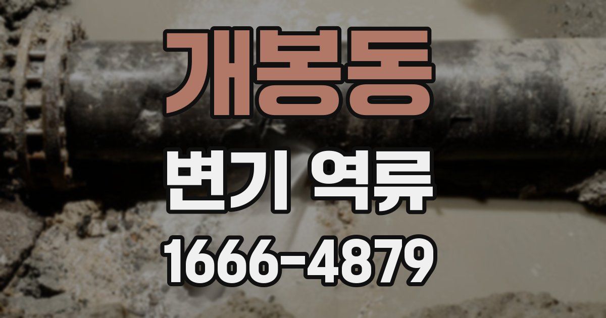 개봉동 변기 역류
