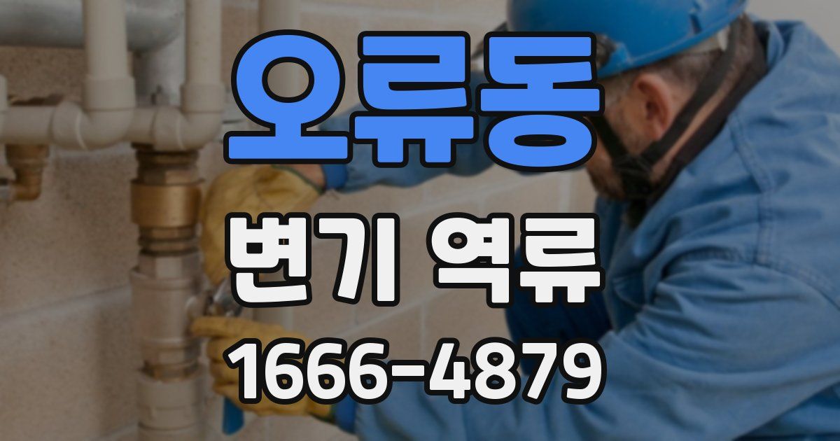 오류동 변기 역류