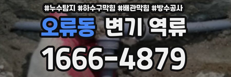 오류동 변기 역류