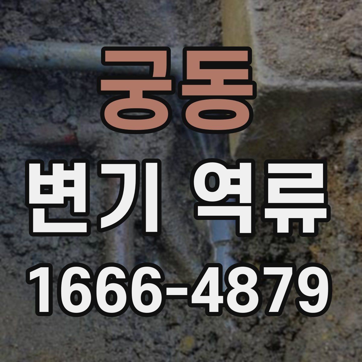 궁동 변기 역류 원인별로 달라지는 대응 순서