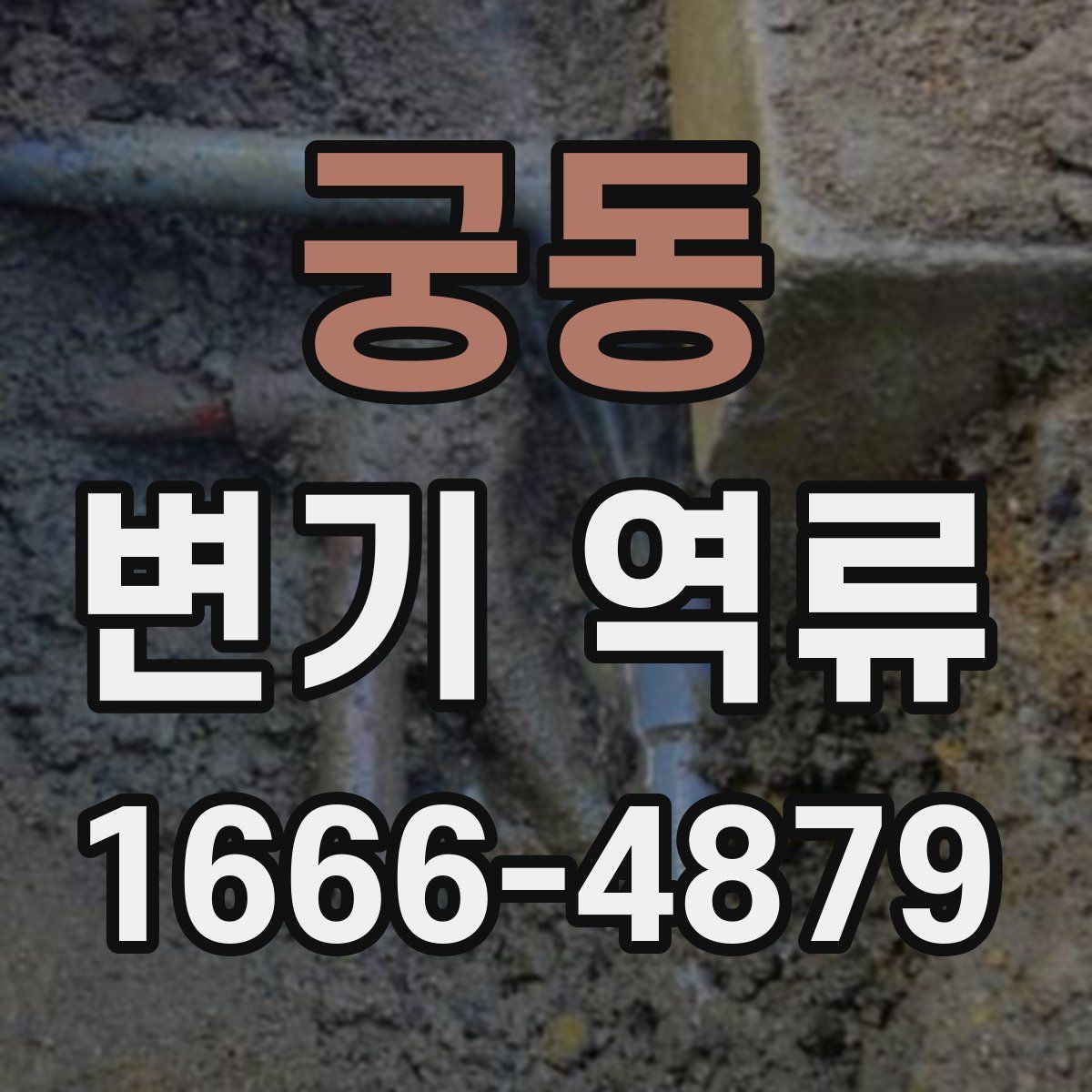 궁동 변기 역류