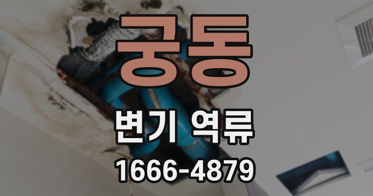 궁동 변기 역류