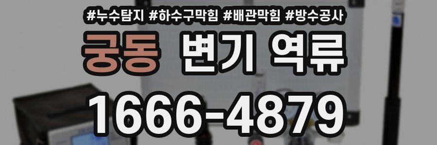 궁동 변기 역류