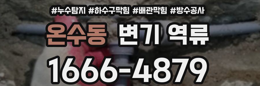 온수동 변기 역류