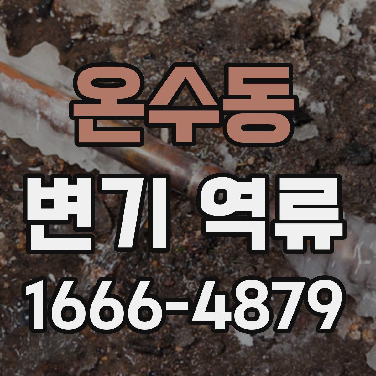 온수동 변기 역류