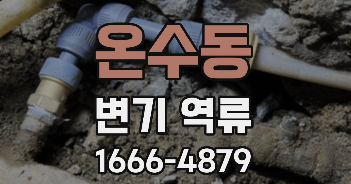 온수동 변기 역류
