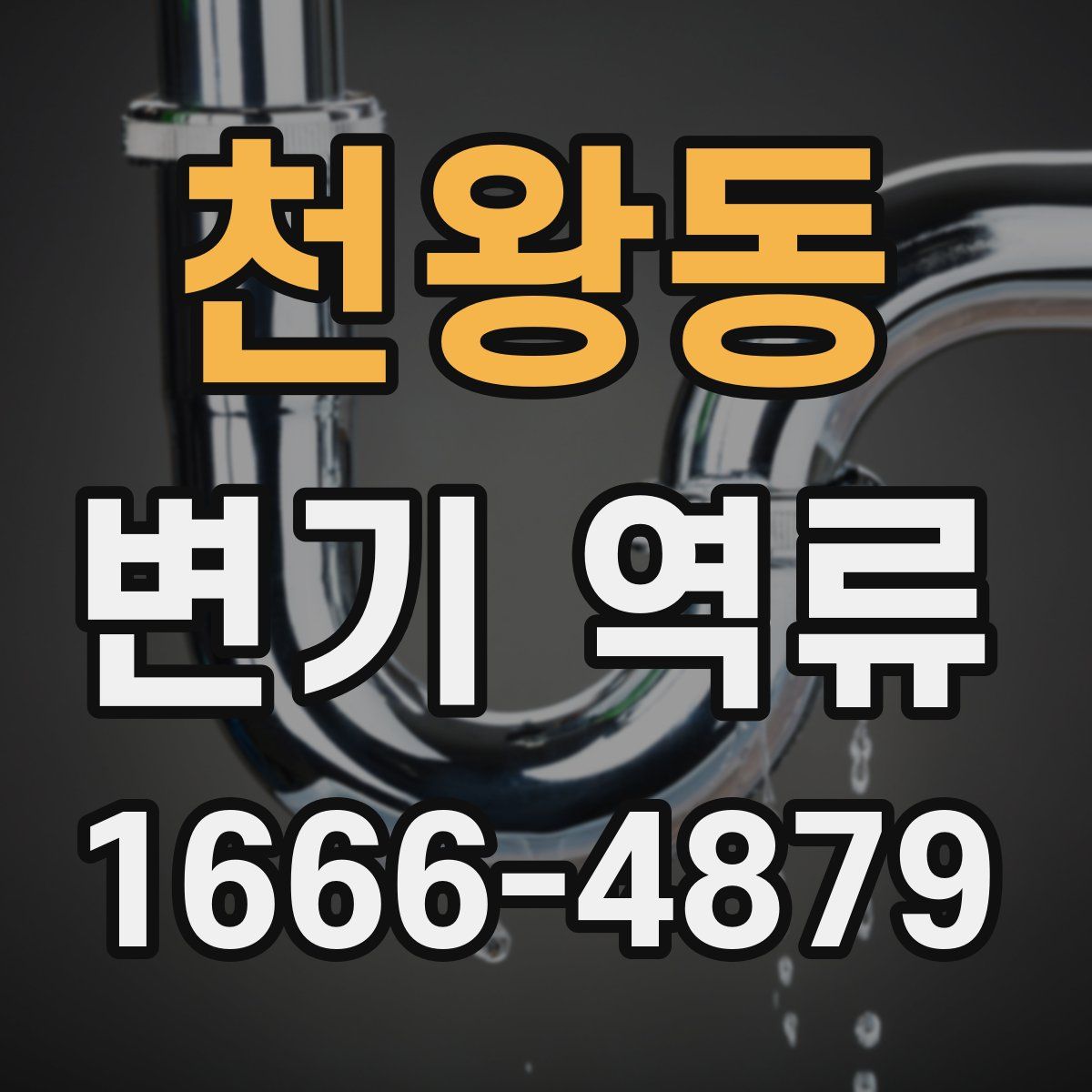천왕동 변기 역류