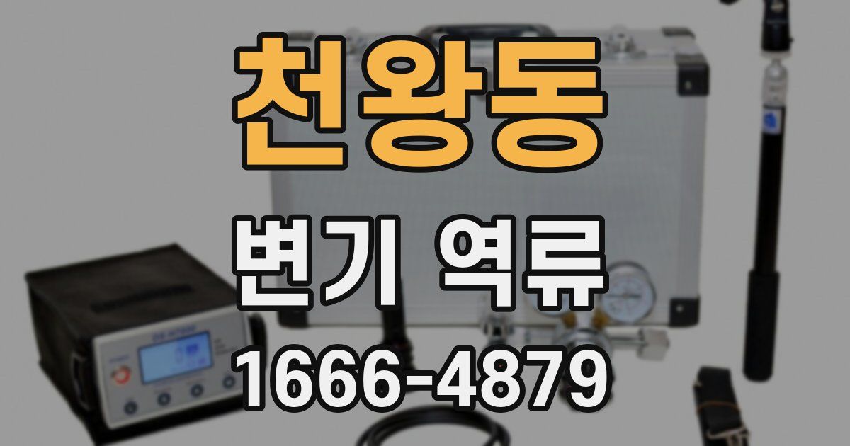 천왕동 변기 역류