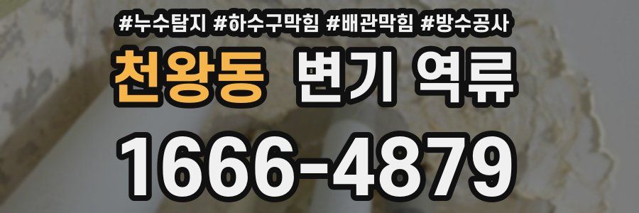 천왕동 변기 역류