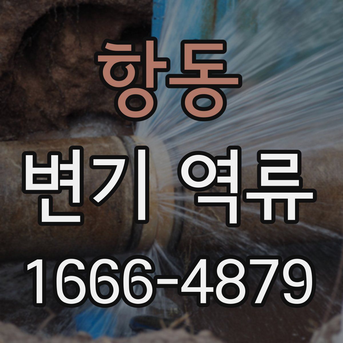 항동 변기 역류