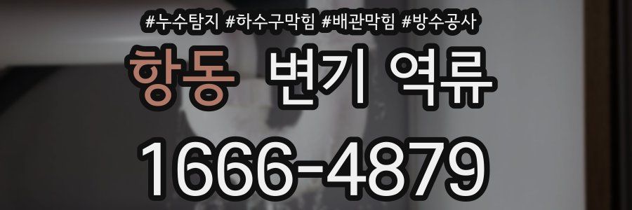 항동 변기 역류