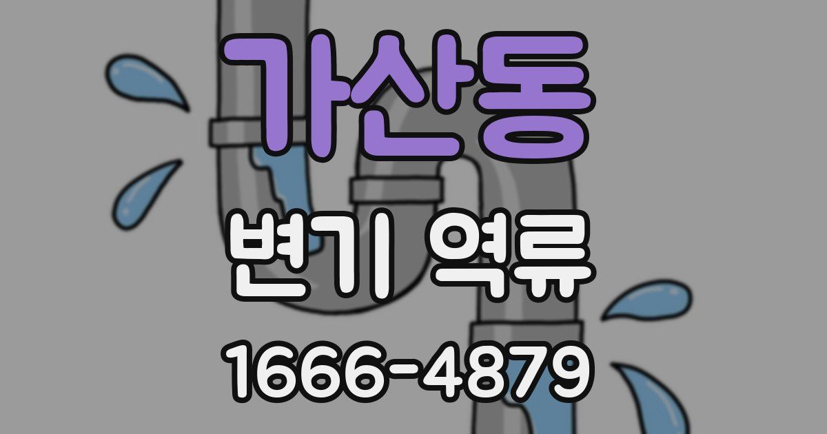가산동 변기 역류