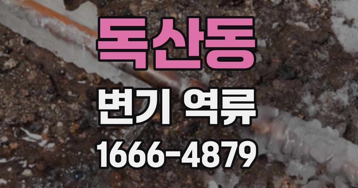 독산동 변기 역류