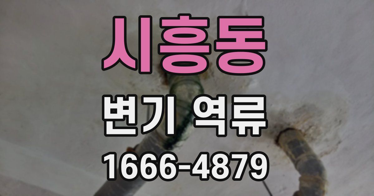 시흥동 변기 역류