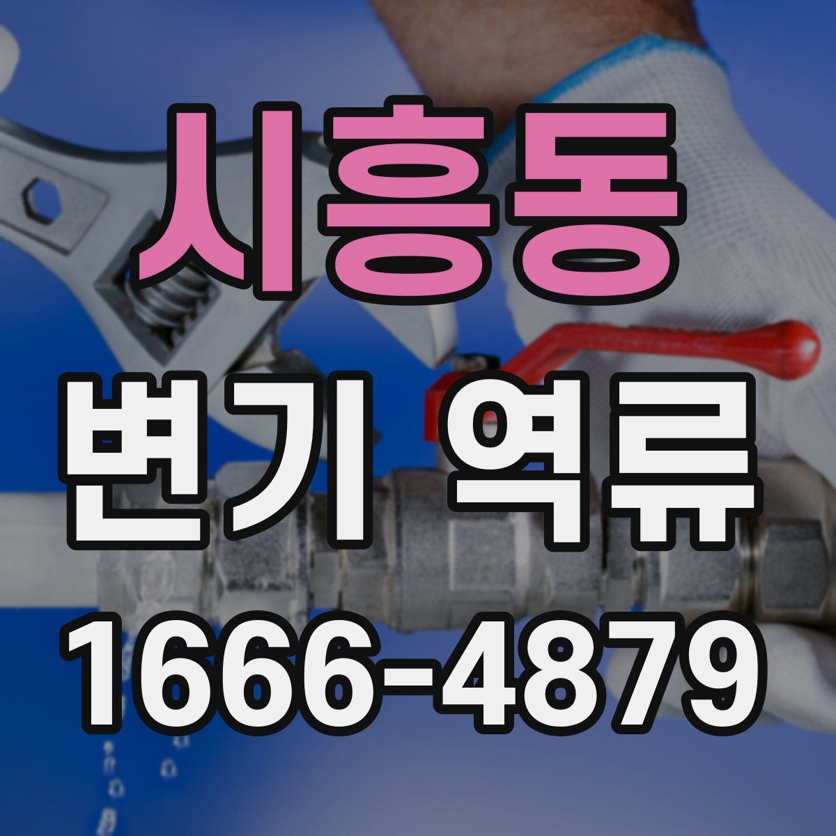 시흥동 변기 역류