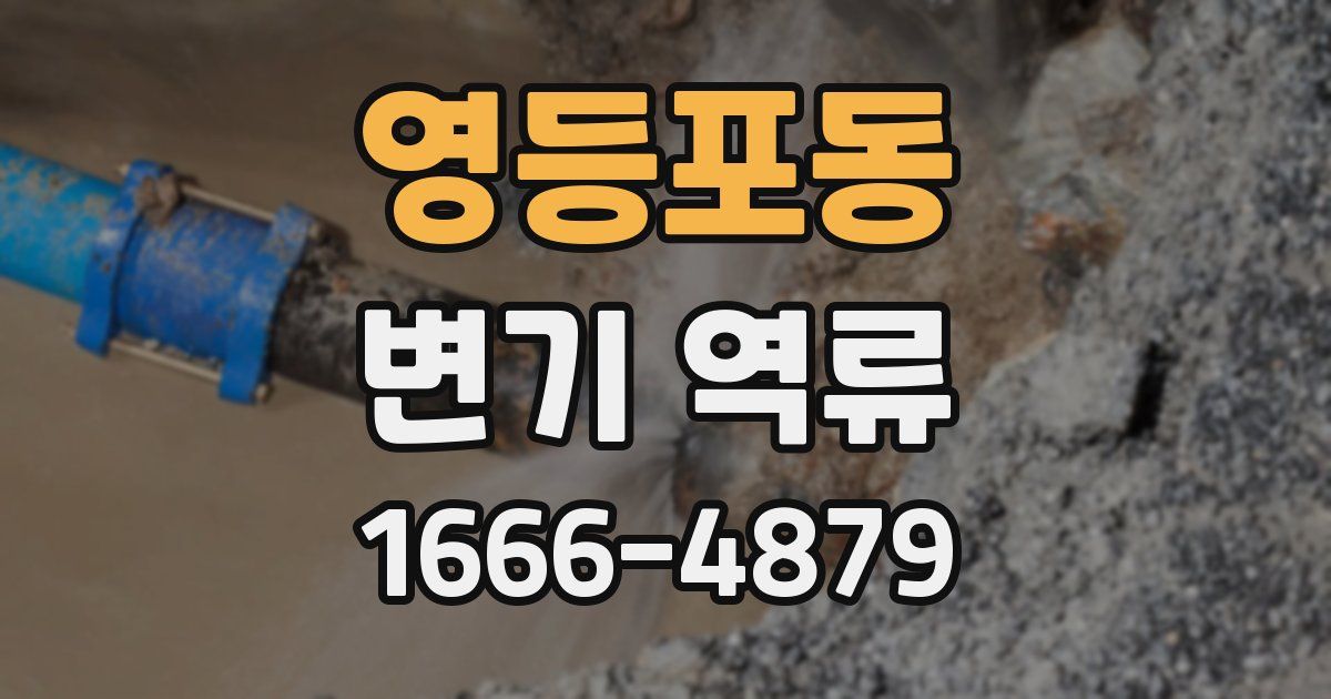 영등포동 변기 역류