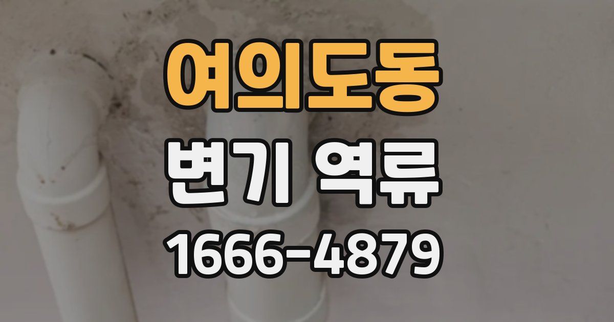 여의도동 변기 역류