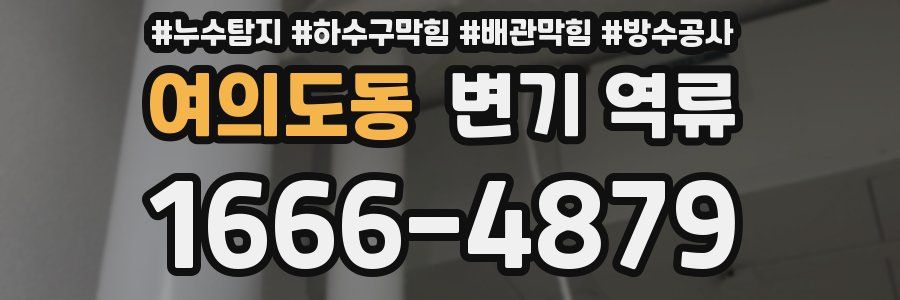 여의도동 변기 역류