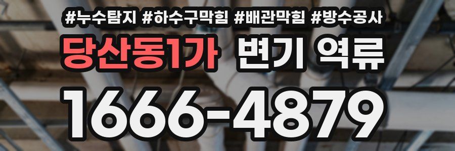 당산동1가 변기 역류