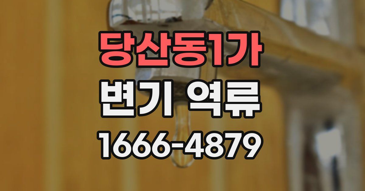 당산동1가 변기 역류