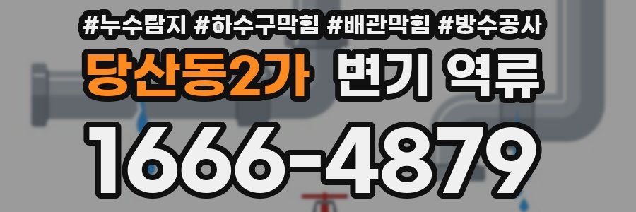 당산동2가 변기 역류